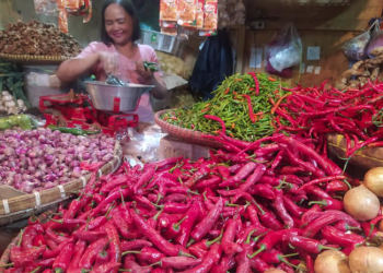 Wow !! Harga Cabai Meroket, Per Kilo 100 Ribu