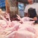 Harga Daging Ayam Kini Mulai Naik, Karena Pakan Naik