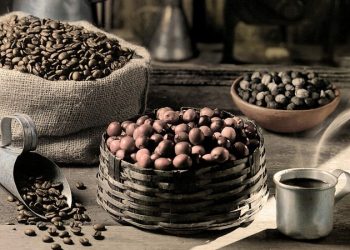 Mengenal Sejarah dan Jenis Kopi Dunia dan Nusantara