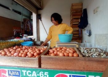 Bupati Cianjur Bongkar Penyebab Naiknya Harga Telur dan Daging Ayam