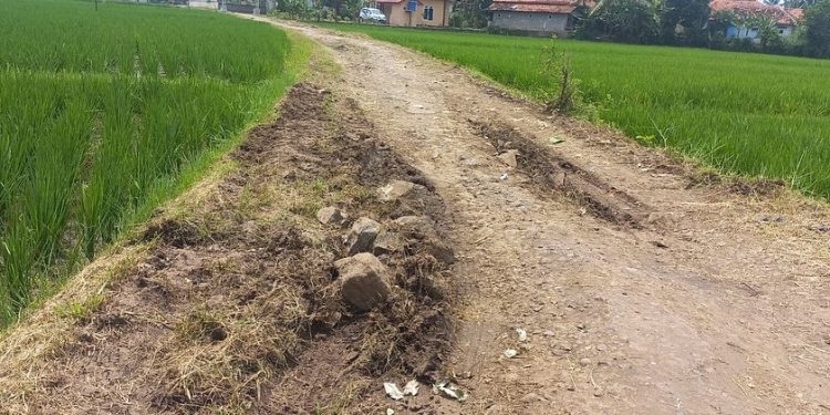 Warga Rawapaku Ciranjang Keluhkan Jalan Rusak, Perlu Perbaikan