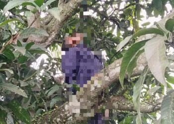 Gegerkan Warga, Seorang Pria Paruh Baya Ditemukan Tergantung di Pohon Mangga