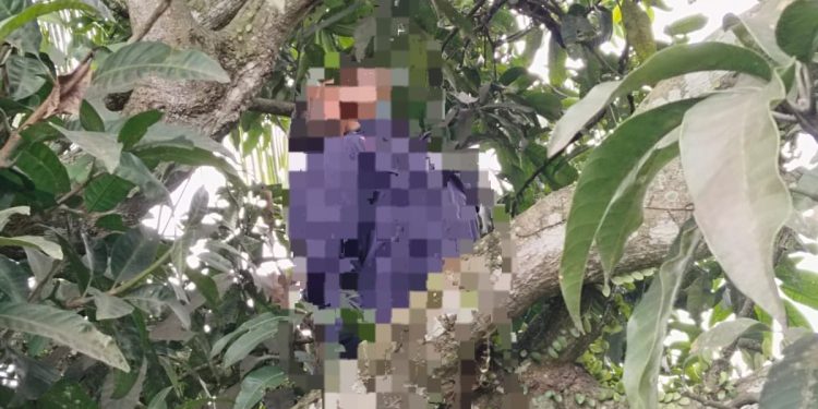 Gegerkan Warga, Seorang Pria Paruh Baya Ditemukan Tergantung di Pohon Mangga