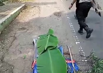 Kecelakaan Maut di Karangtengah Cianjur, Penumpang Sepeda Motor Tewas Setelah Tersenggol Bus