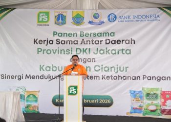 Panen Bersama di Ciranjang, Sinergi DKI–Cianjur Amankan Pasar Beras Pandan Wangi