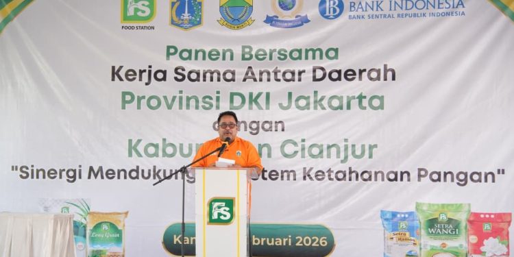 Panen Bersama di Ciranjang, Sinergi DKI–Cianjur Amankan Pasar Beras Pandan Wangi